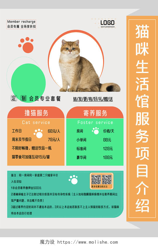 彩色简约风猫咪生活馆服务项目海报项目介绍海报